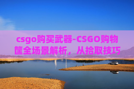 csgo购买武器-CSGO购物筐全场景解析，从拾取技巧到出装策略，带你玩转日常战备利器