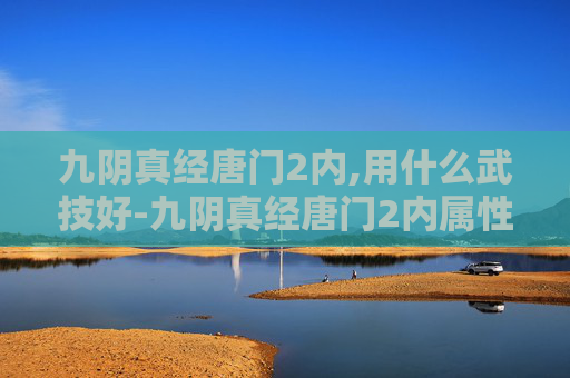 九阴真经唐门2内,用什么武技好-九阴真经唐门2内属性