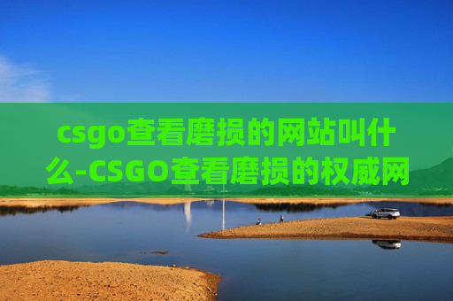 csgo查看磨损的网站叫什么-CSGO查看磨损的权威网站与实用攻略