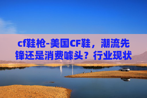 cf鞋枪-美国CF鞋，潮流先锋还是消费噱头？行业现状与潜在价值深度解析
