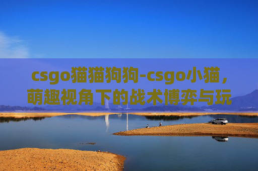 csgo猫猫狗狗-csgo小猫，萌趣视角下的战术博弈与玩家趣享