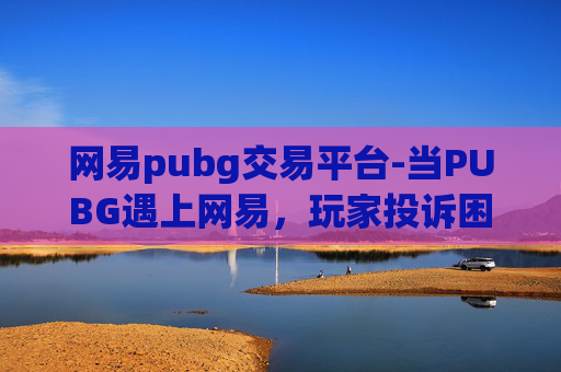 网易pubg交易平台-当PUBG遇上网易，玩家投诉困境的深度剖析与应对思路