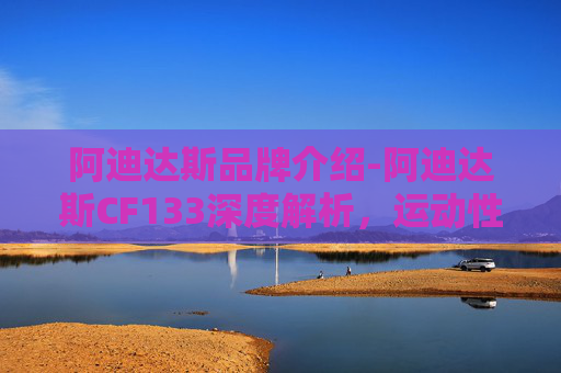 阿迪达斯品牌介绍-阿迪达斯CF133深度解析，运动性能的极致展现与市场的破局思路