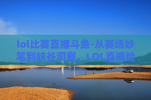 lol比赛直播斗鱼-从赛场妙笔到峡谷洞察，LOL直播绘画，解锁游戏背后的艺术美学