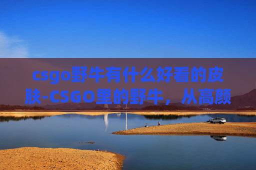csgo野牛有什么好看的皮肤-CSGO里的野牛，从高颜值战术位到高沉浸视角，解锁实战玩法的超多维魅力