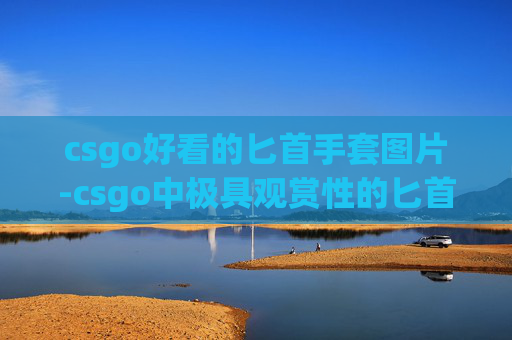 csgo好看的匕首手套图片-csgo中极具观赏性的匕首手套大盘解析，解锁高手进阶的实用装备指南