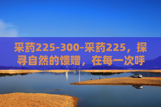 采药225-300-采药225，探寻自然的馈赠，在每一次呼吸中品味坚韧与纯粹