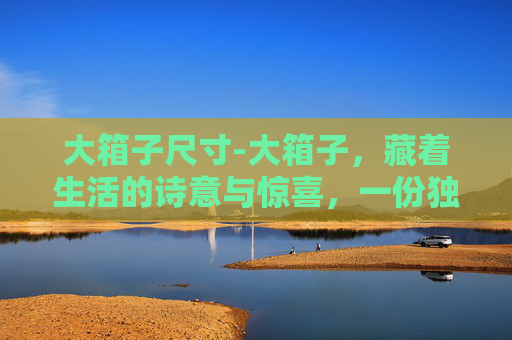 大箱子尺寸-大箱子，藏着生活的诗意与惊喜，一份独特的空间感悟