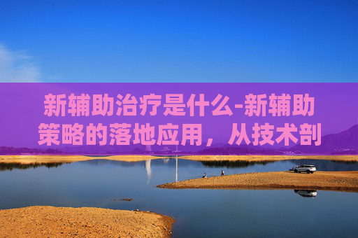 新辅助治疗是什么-新辅助策略的落地应用，从技术剖析到实操指南，全方位解析如何精准提升疗效与安全性