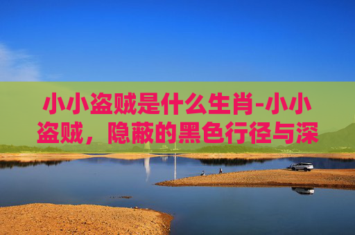 小小盗贼是什么生肖-小小盗贼，隐蔽的黑色行径与深层隐患