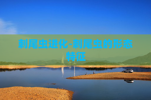 刺尾虫进化-刺尾虫的形态特征