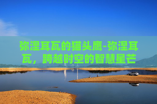 弥涅耳瓦的猫头鹰-弥涅耳瓦,跨越时空的智慧星芒 弥涅耳瓦的猫头鹰-弥涅耳瓦,跨越时空的智慧星芒