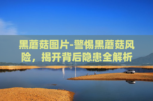 黑蘑菇图片-警惕黑蘑菇风险，揭开背后隐患全解析