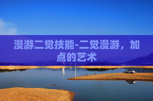 漫游二觉技能-二觉漫游，加点的艺术