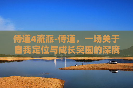 侍道4流派-侍道,一场关于自我定位与成长突围的深度思考 侍道4流派-侍道,一场关于自我定位与成长突围的深度思考