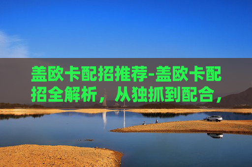 盖欧卡配招推荐-盖欧卡配招全解析，从独抓到配合，玩转不同流派策略