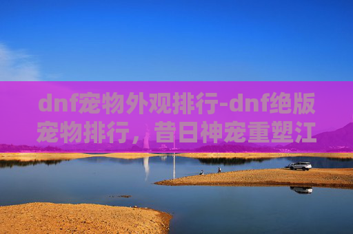 dnf宠物外观排行-dnf绝版宠物排行，昔日神宠重塑江湖，今看稀有版冲击新格局