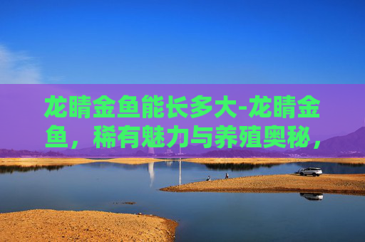 龙睛金鱼能长多大-龙睛金鱼，稀有魅力与养殖奥秘，解锁独特的观赏与养护价值