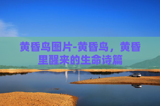 黄昏鸟图片-黄昏鸟，黄昏里醒来的生命诗篇