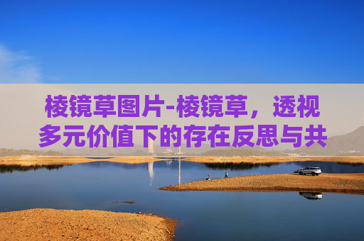 棱镜草图片-棱镜草,透视多元价值下的存在反思与共生探索 棱镜草图片-棱镜草,透视多元价值下的存在反思与共生探索