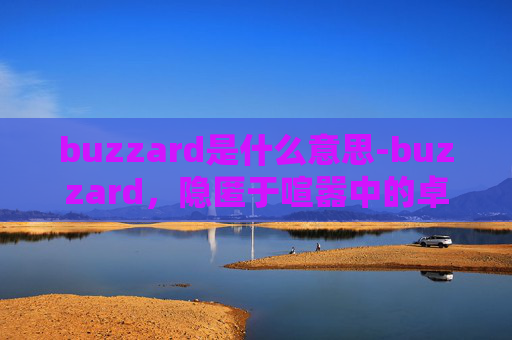 buzzard是什么意思-buzzard，隐匿于喧嚣中的卓越存在，在动荡中开辟全新可能