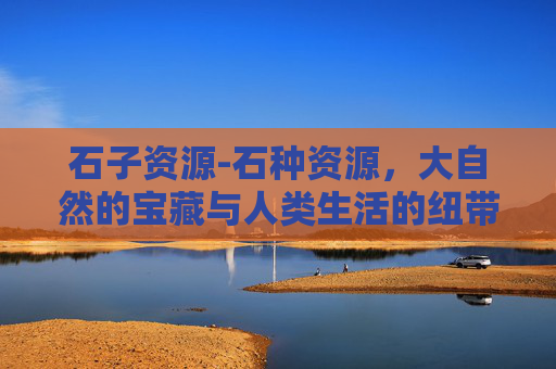 石子资源-石种资源,大自然的宝藏与人类生活的纽带 石子资源-石种资源,大自然的宝藏与人类生活的纽带