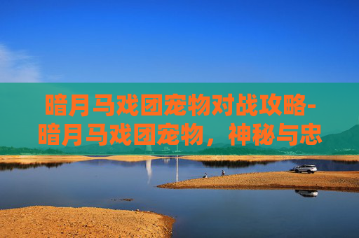 暗月马戏团宠物对战攻略-暗月马戏团宠物,神秘与忠诚的完美结合 暗月马戏团宠物对战攻略-暗月马戏团宠物,神秘与忠诚的完美结合
