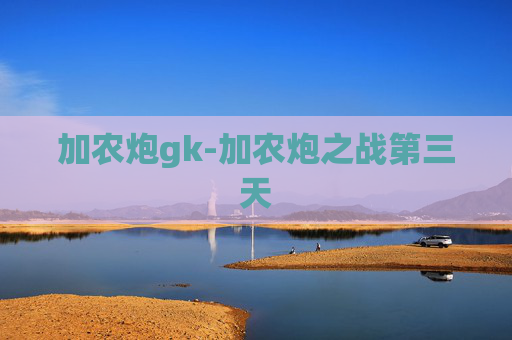 加农炮gk-加农炮之战第三天