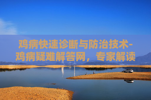鸡病快速诊断与防治技术-鸡病疑难解答网，专家解读，助你轻松应对家禽养殖难题