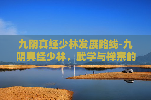 九阴真经少林发展路线-九阴真经少林，武学与禅宗的完美融合
