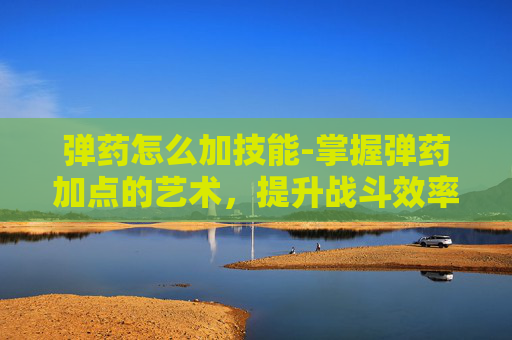 弹药怎么加技能-掌握弹药加点的艺术，提升战斗效率的秘诀