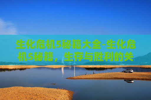生化危机5秘籍大全-生化危机5秘籍，生存与胜利的关键技巧