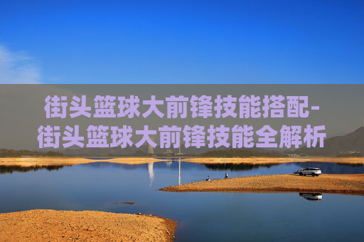 街头篮球大前锋技能搭配-街头篮球大前锋技能全解析