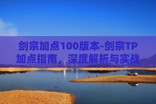 剑宗加点100版本-剑宗TP加点指南，深度解析与实战应用