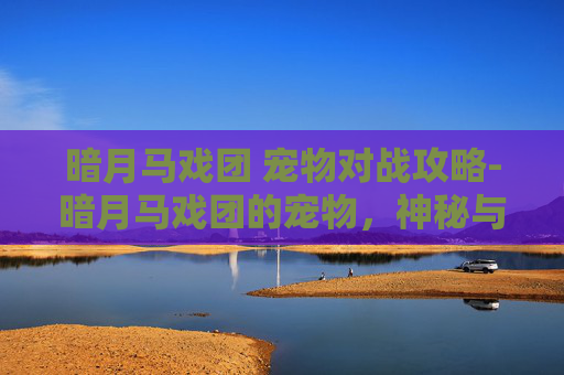 暗月马戏团 宠物对战攻略-暗月马戏团的宠物，神秘与忠诚的完美结合