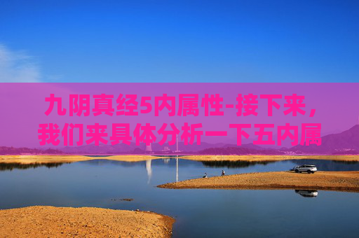 九阴真经5内属性-接下来，我们来具体分析一下五内属性对修炼者的影响