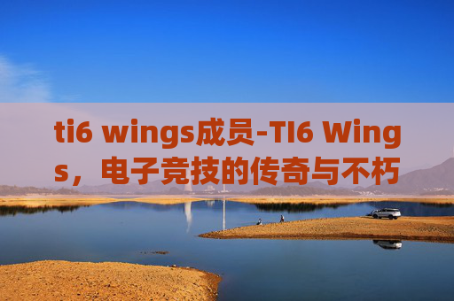 ti6 wings成员-TI6 Wings，电子竞技的传奇与不朽