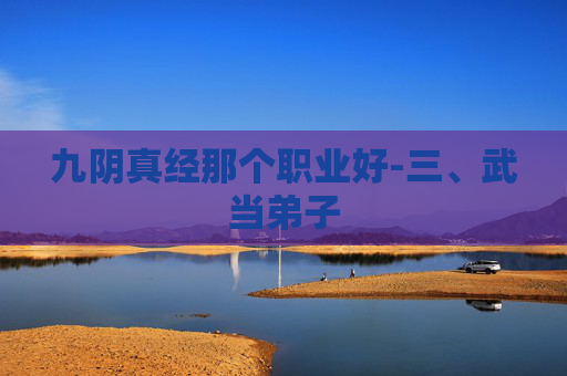 九阴真经那个职业好-三、武当弟子 九阴真经那个职业好-三、武当弟子