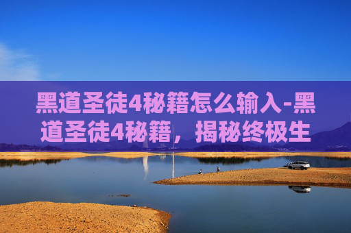 黑道圣徒4秘籍怎么输入-黑道圣徒4秘籍，揭秘终极生存与战斗技巧