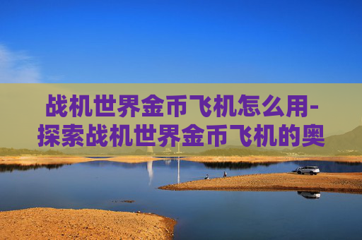 战机世界金币飞机怎么用-探索战机世界金币飞机的奥秘
