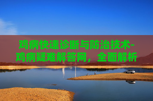 鸡病快速诊断与防治技术-鸡病疑难解答网，全面解析家禽常见疾病及其防治策略