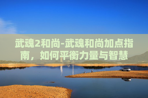 武魂2和尚-武魂和尚加点指南，如何平衡力量与智慧