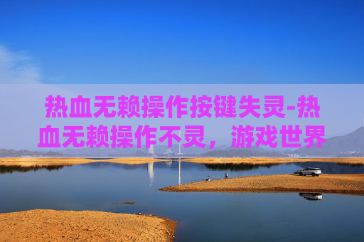 热血无赖操作按键失灵-热血无赖操作不灵，游戏世界中的挑战与策略
