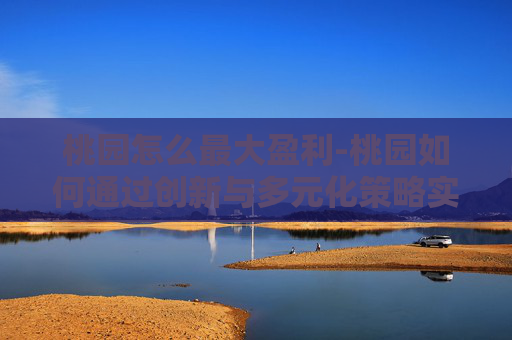 桃园怎么最大盈利-桃园如何通过创新与多元化策略实现盈利 桃园怎么最大盈利-桃园如何通过创新与多元化策略实现盈利