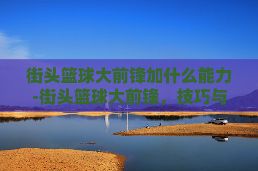 街头篮球大前锋加什么能力-街头篮球大前锋,技巧与策略的完美结合 街头篮球大前锋加什么能力-街头篮球大前锋,技巧与策略的完美结合