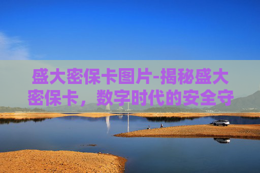 盛大密保卡图片-揭秘盛大密保卡，数字时代的安全守护神