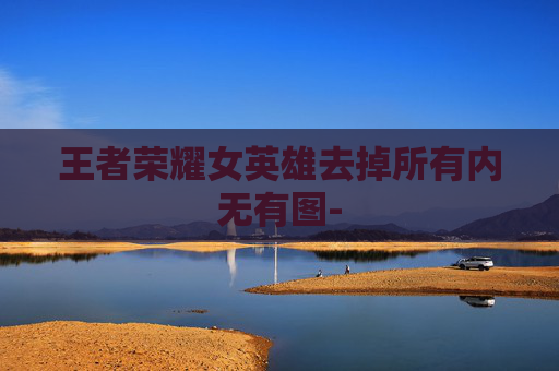 王者荣耀女英雄去掉所有内无有图-