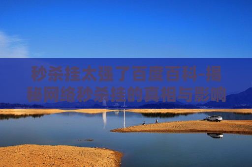秒杀挂太强了百度百科-揭秘网络秒杀挂的真相与影响
