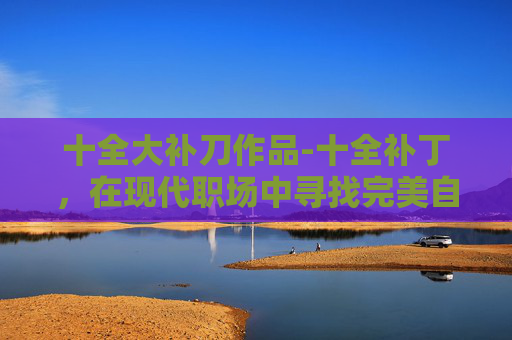 十全大补刀作品-十全补丁，在现代职场中寻找完美自我