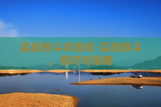 实战格斗术排名-实战格斗，技巧与策略